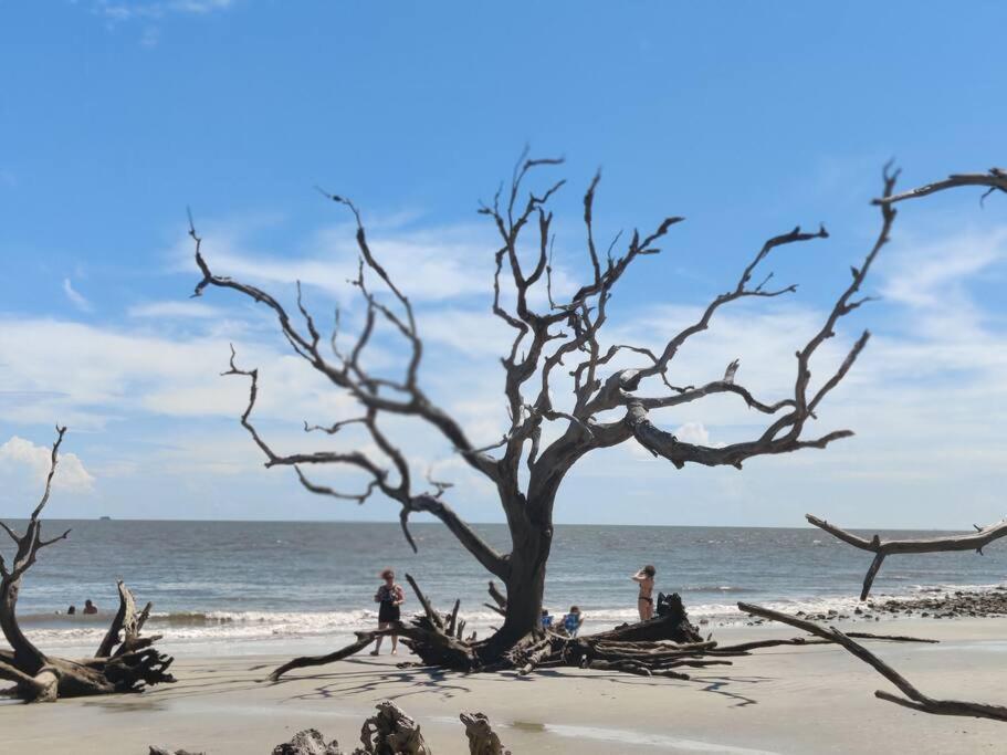 Jekyll Island House/ Kellys On The Coast /King Bed Villa Екстериор снимка